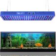 200W-Led-Aquarium-Light-for-Fish-Tank-Full-Spectrum-LED.jpg