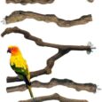 Allazone-5-PCS-Bird-Perch-Natural-Grape-Stick-Bird-Standing.jpg