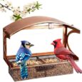Bird-Feeders-for-Outdoors-HangingWindow-Bird-Feeder-with-Adhesive-Hooks.jpg