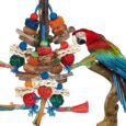 Bird-ToysParrot-Toys-Exciting-Chewing-Fun-for-ParakeetsCockatielsConuresLovebirdsAfrican-Gray-Cockatoos.jpg