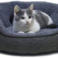 Dog-Bed-for-Medium-Size-Dog-Cat-Beds-for-Indoor.jpg