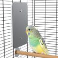 Fenocran-Indoor-Bird-Heater-Pad-USB-Bird-Warmer-Heater-Bird.jpg