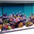 Fluval-Flex-325-Marine-Salt-Water-Aquarium-Kit-Fish.jpg