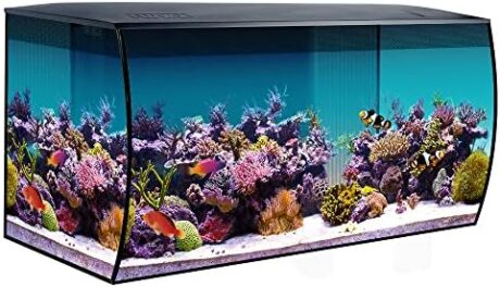 Fluval Flex 32.5 Marine Salt Water Aquarium Kit - Fish Tank for Fish, Coral & More - Comes with LED Lights, Filtration System & More - 32.5" x 15.75" x 15.35" - 123 L, 32.5 Gal. - Black