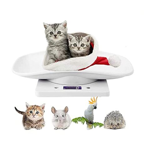 Newborn Kitten & Puppy Weight Scale, Multifunctional Digital Pet Scale, LCD Electronic Small Animal Food Scale, Weighing Max 33lbs, Tray Size 12" x 8", Not for Adult Cats/Dogs (White)