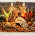 Reptile-Terrarium-Lizard-Tank-Up-to-68-Gallons-Bearded-Dragon.jpg