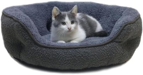 Small Dog Bed for Small Dogs, Cat Beds for Indoor Cats, Cute Round Dog Bed, Washable Dog Bed with Anti-Slip & Water-Resistant Bottom, Super Soft Pet Bed, Luxury Durable Puppy Bed Kitten Bed, Gray