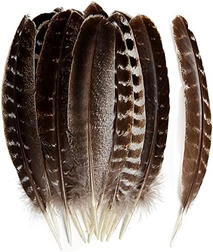 THARAHT 24pcs Natural Wild Turkey Wing Feathers Quill Bulk 8-10inch 20-25cm for DIY Crafts Project Collection Wedding Decoration Wild Turkey Tails Feather