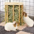 Upgraded-Guinea-Pig-Hay-Feeder-No-Waste-Wooden-Rabbit-Hay.jpg