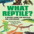 What-Reptile-A-Buyers-Guide.jpg