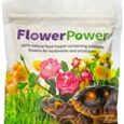 The-Bio-Dude-Flower-Power-20-Grams-100-Natural-Food.jpg