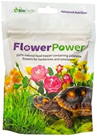 The Bio Dude Flower Power 20 Grams 100% Natural Food Topper for Bearded Dragons, Tortoises and More!
