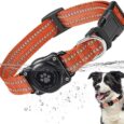 Airtag-Dog-Collar-100-Waterproof-Integrated-Apple-Air-Tag-Dog.jpg