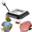Aquarium-Feeding-Ring-Floating-Rings-Food-Feeder-Feeding-Trough-Square.jpg