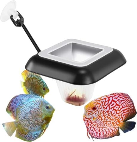 Aquarium Feeding Ring Floating Rings Food Feeder Feeding Trough Square with Suction Cup for Fish Feeder