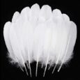 Ballinger-Natural-White-Goose-Feathers-120Pcs-6-8-Inch-Bulk.jpg
