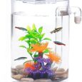 Betta-Fish-Tank-360-Aquarium-with-LED-Light-1-Gallon.jpg
