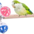 Bird-Stand-Perch-Toy-with-Rotating-BallsParakeet-Stand-Perch-Toy.jpg