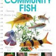 Community-Fish-CompanionHouse-Books-Choosing-Starter-Freshwater-Fish-Aquarium-Setup.jpg