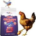 Dried-Mealworms-2-lbs-Chicken-Protein-Source-Winter.jpg