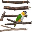 EBaokuup-5PCS-Natural-Wood-Bird-Perches-for-Parrot-Wooden.jpg