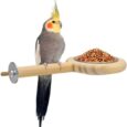 KATUMO-Bird-Perch-Bird-Feeding-Cup-Parrot-Wood-Perch-Stand.jpg