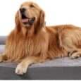 Orthopedic-Dog-Bed-Washable-Large-Dog-Bed-Waterproof-Dog-Bed.jpg