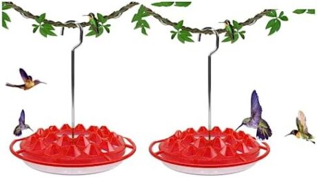 ROYALITA Best Hummingbird Feeders for Outdoors Hanging, Easy Clean Fill Wasp Leak Proof, Hummingbird Feeder Gifts for Window Garden, More Birds Bird Health Ant Moat for Hummingbird,2PC