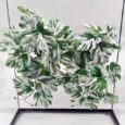 Reptile-Plants-for-Terrarium-Amphibian-Habitat-Decor-Artificial-Hanging-Plants.jpg