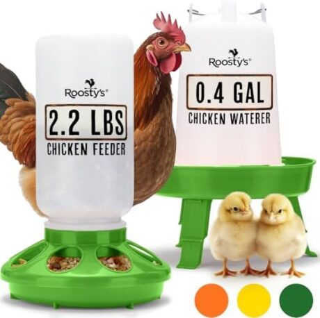 Roosty's Chicken Feeder and Waterer Kit - 1L Chicken Feeder and 1.5L Chicken Waterer | Chicken Feeder and Hanging Chicken Waterer | Duck Feeder, Quail Feeder, Chicken Starter Kit