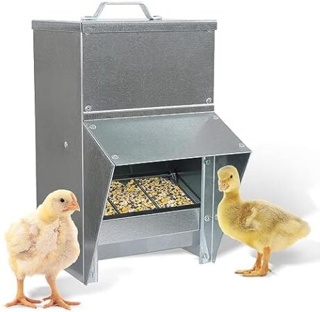 Rural365 11.5lb Capacity Galvanized Chicken Feeder - Rat Proof Poultry Feeder with Lid Weatherproof Outdoor Coop Food Dispenser