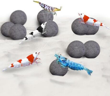 SunGrow Shrimp Balls, Calcium-Rich Balls, Successful Shedding, Increase Survival Rate, Impart Vibrance, Cool Décor with Wellness Benefits