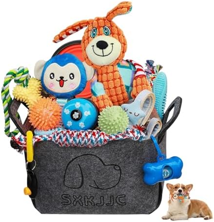 20PCS Puppy Teething Toys, Dog Squeaky Toys, Rope Toys, Interactive Dog Toys to Keep Them Busy, Chew Toys for Puppies, Pet Toys for Small Dogs, Dog Toy Basket Full of Fun