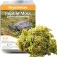 65oz-Pure-Natural-Reptile-Moss-for-Humidity-Great-for-Snakes.jpg