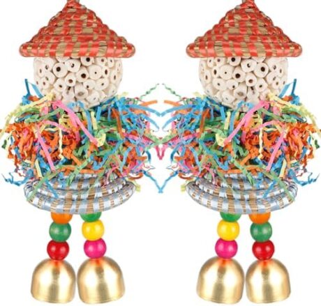BBjinronjy Conure Toys,2PCS Bird Toys Parrot Foraging Shredder Hanging Toys Sola Balls with Bell for Small Parrots Parakeets Cockatiel Conures Love Birds Budgie Cage Toy