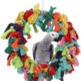 Bird-Colorful-Cotton-Rope-Hanging-Ring-Parrot-Preening-Grooming-Chew.jpg