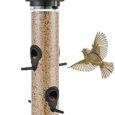 Bird-Feeders-Premium-Hard-Plastic-for-Wild-Bird-Feeder-for.jpg