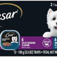 CESAR-Filets-in-Gravy-Adult-Wet-Dog-Food-Filet-Mignon.jpg