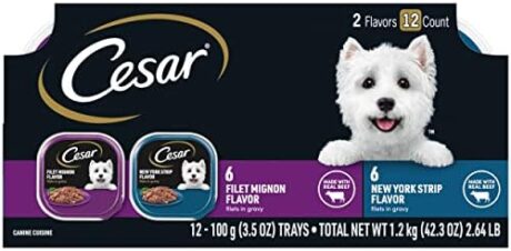 CESAR Filets in Gravy Adult Wet Dog Food, Filet Mignon and New York Strip Flavors Variety Pack, 3.5 oz., Pack of 12