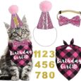Cat-Birthday-Party-Supplies-Cat-Birthday-Outfits-Cat-Kitten-Birthday.jpg