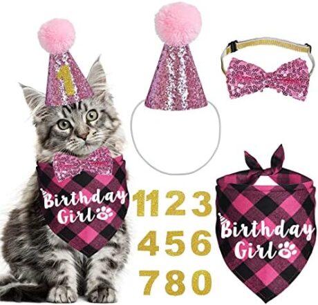 Cat Birthday Party Supplies, Cat Birthday Outfits Cat Kitten Birthday Girl Bandanas with Cat Birthday Hat Crown Cat Bow Tie Birthday Number for Cat Kitten Birthday Decorations (Pink)