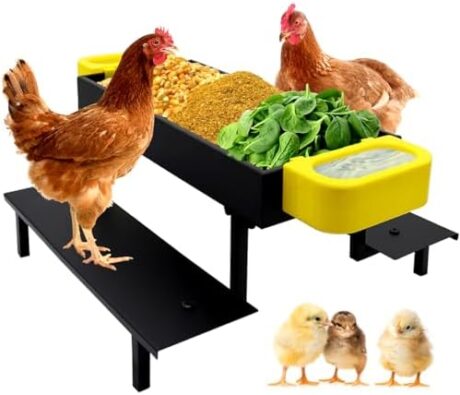Chicken Picnic Table Feeder, Chicken Feeder No Waste Kit with Chicken Picnic Table and 2 Chicken Water Feeder, Metal Poultry Feeder Table for Chicken, Duck, Roost, Squirrel