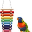 Colorful-Bird-Xylophone-Toy-Suspensible-Funny-Xylophone-Toy-with-8.jpg