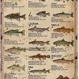 Fish-Aluminum-Metal-SignFreshwater-Game-FishWall-Decor-Poster-Home-Bedroom.jpg
