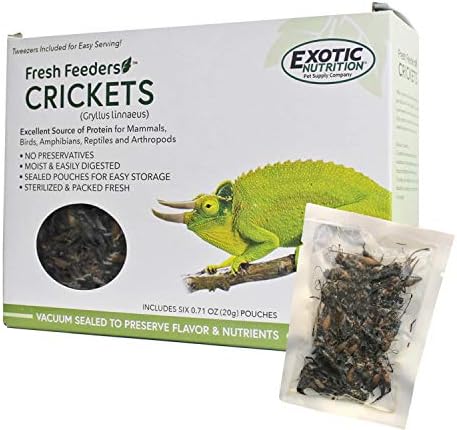 Fresh Feeders (Crickets) - All Natural High Protein Insect Treat - Single Serving Pouches - Chickens, Wild Birds, Hedgehogs, Bluebirds, Reptiles, Sugar Gliders, Opossums, Skunks, Lizards