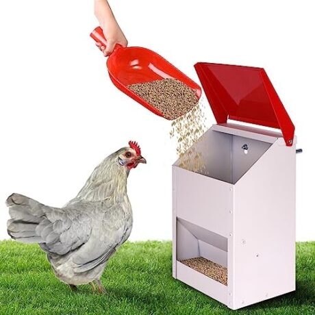 Galvanized Wall Mount Chicken Feeder No Waste Hanging Chicken Feeder with Lid Weatherproof Metal Automatic Poultry Feeder Trough Food Dispenser for Outside Coop (10 lbs)