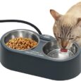 Heated-Cat-Bowl-Outdoor-Heated-Pet-Bowl-with-Double-Stainless.jpg