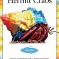 Land-Hermit-Crabs-CompanionHouse-Books-Includes-Selecting-a-Land-Hermit.jpg