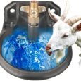 Milifun-Goat-Waterer-Sheep-Water-Bowls-Livestock-Water-Bowl-with.jpg