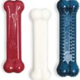 Nylabone-Original-Bone-Power-Chew-Toy-for-Dogs-Durable-Dog.jpg